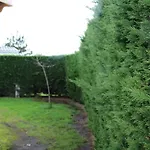 Les Mobiles Homes De La Palmyre Les Mathes