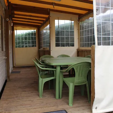 Les Mobiles Homes De La Palmyre 营地 莱马特